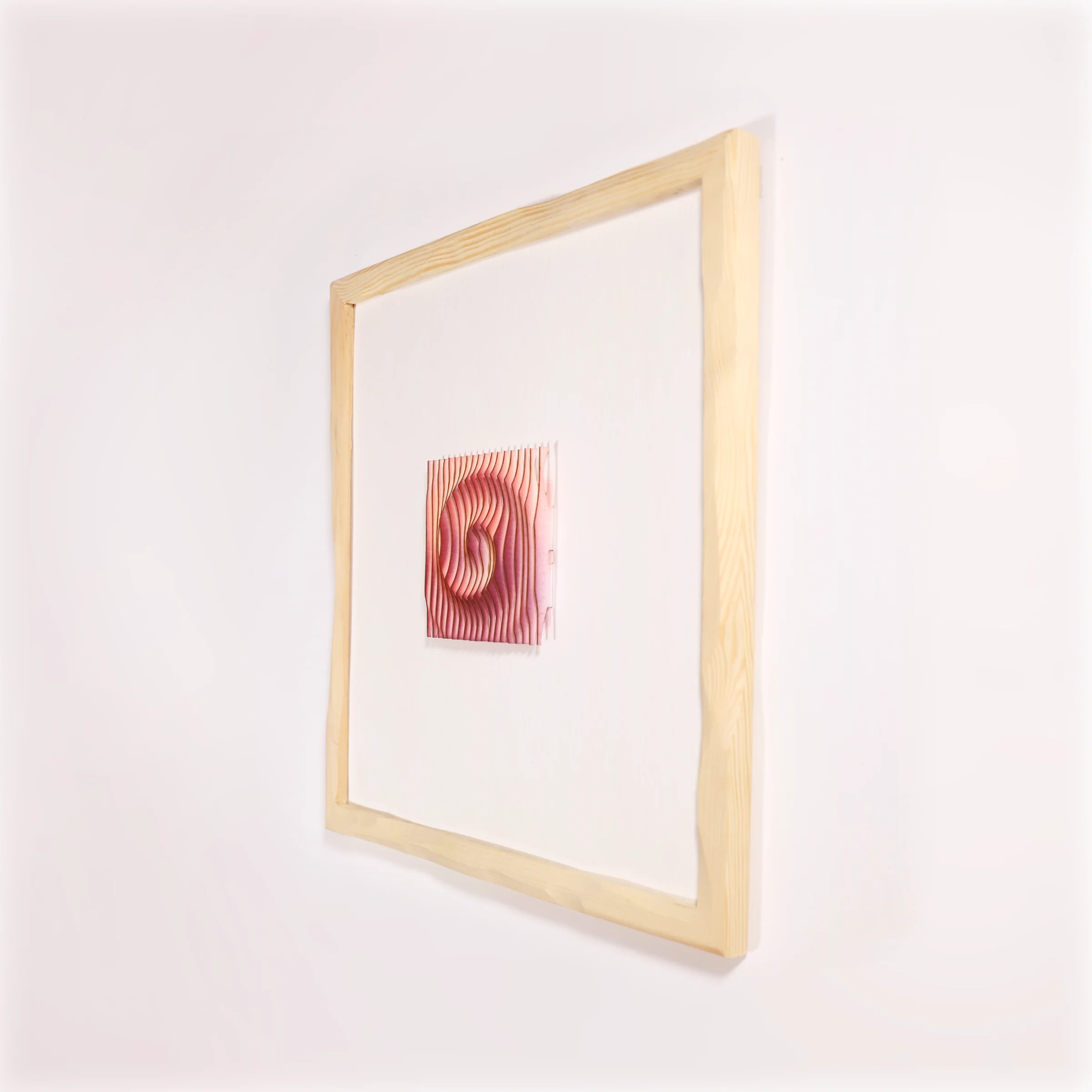 Exploration in Slices 5, installation view 1